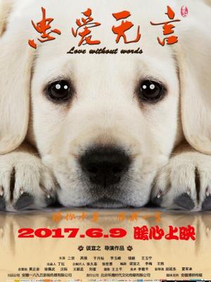 青春绽放